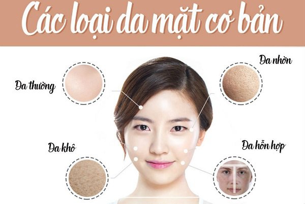 Các loại da cơ bản